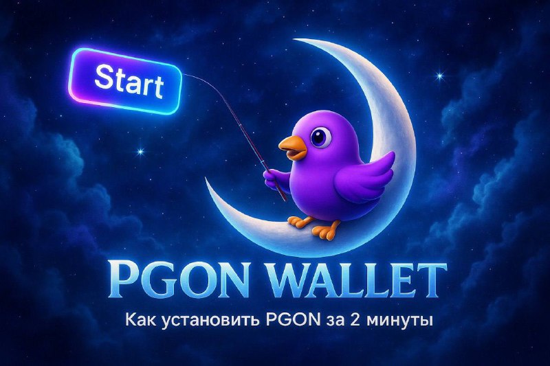 Как начать пользоваться PGON за 2 минуты