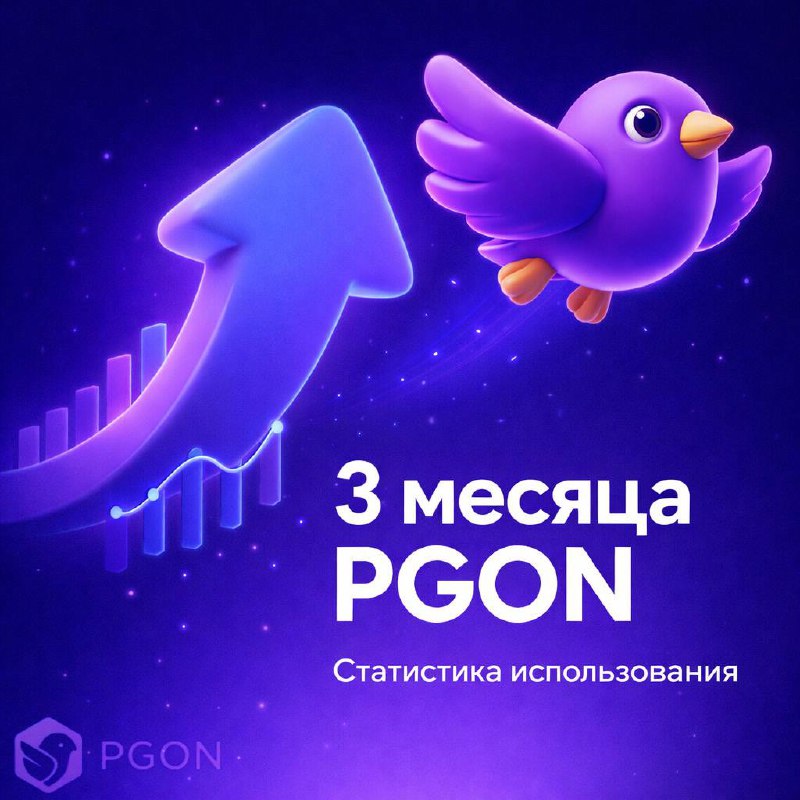PGON за 3 месяца: рост кошельков и активных операций